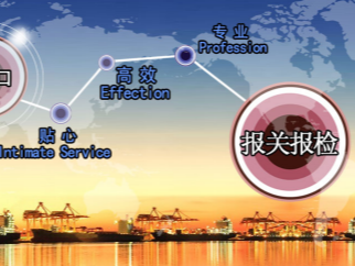 Declaration Rules for