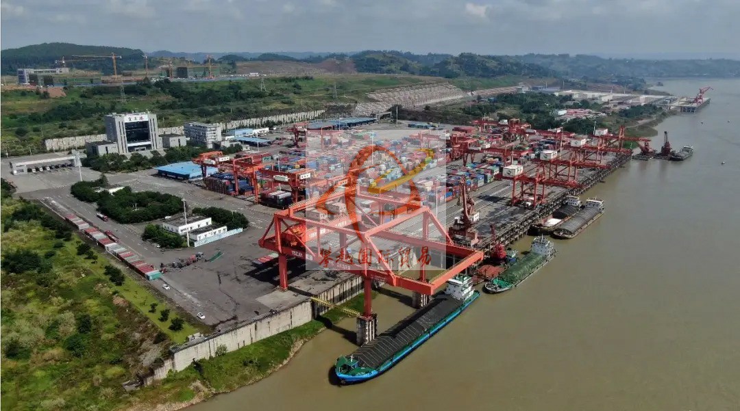 Imported medical gloves from China_ Shenzhen Shekou Port customs clearance services