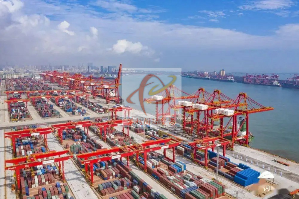 Importing sports protective equipment from China_ Shenzhen Shekou Port Customs Clearance Solution