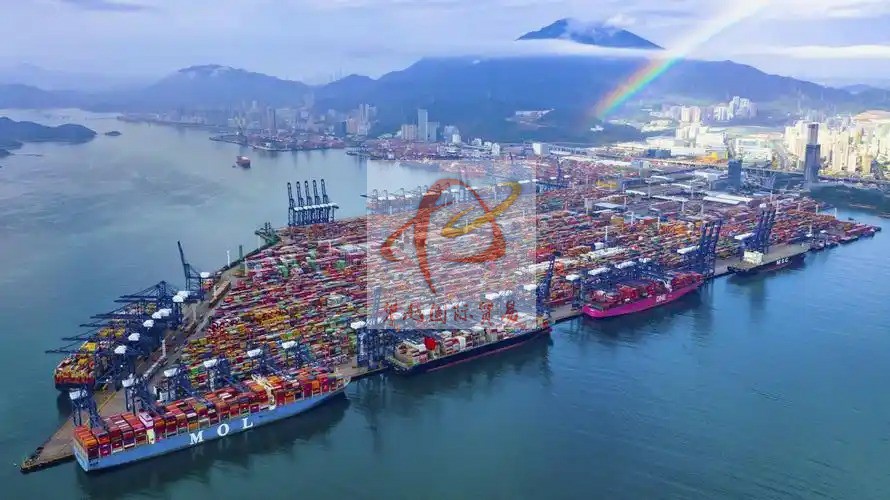 Export of medical diagnostic equipment to China_ customs clearance at Shenzhen Shekou Port