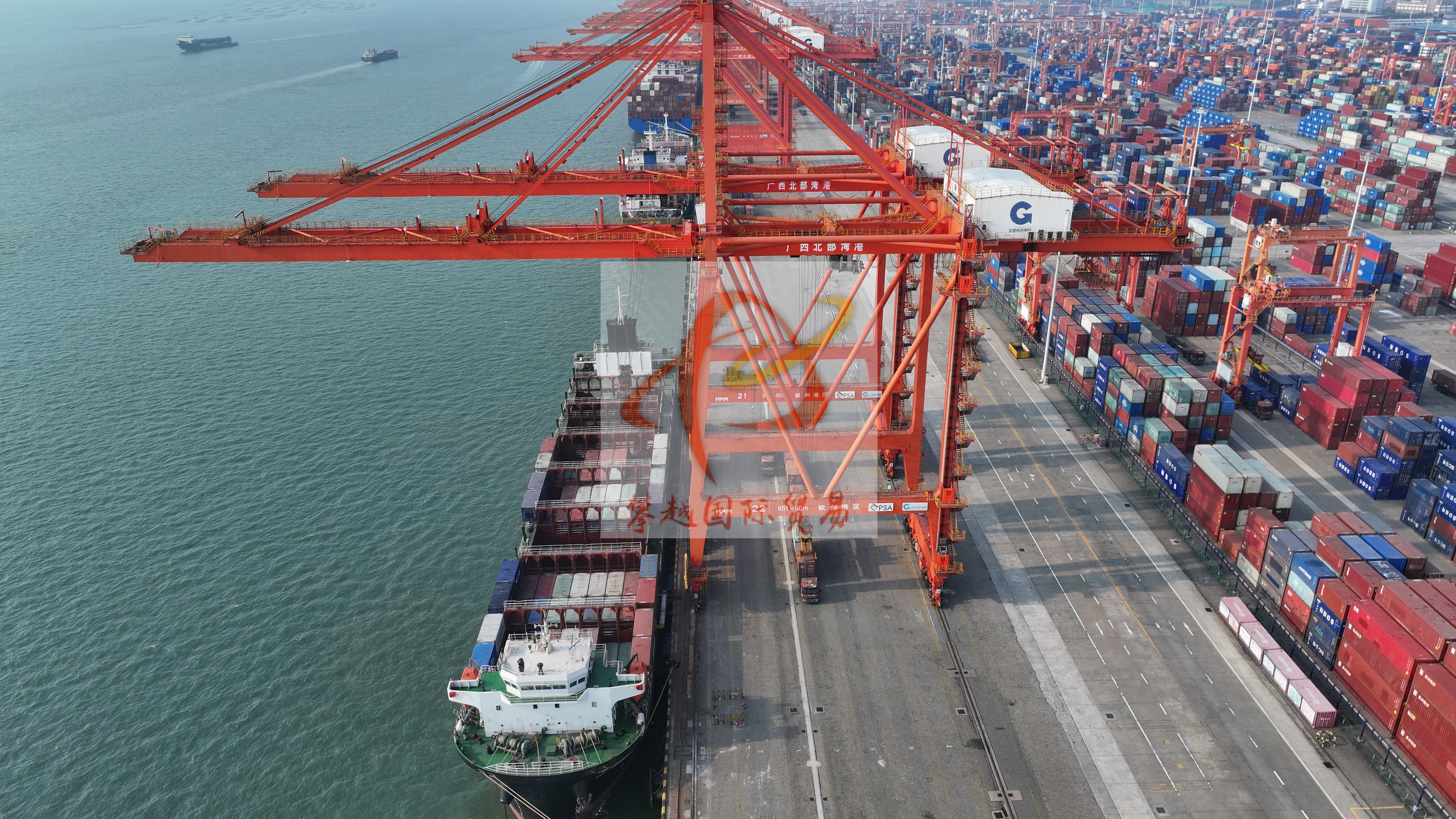 Export of dairy products to China_ Guangzhou Huangpu Port Customs Clearance Solutions