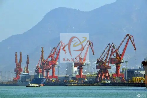 Imported honey from China_ customs clearance at Shenzhen Shekou Port