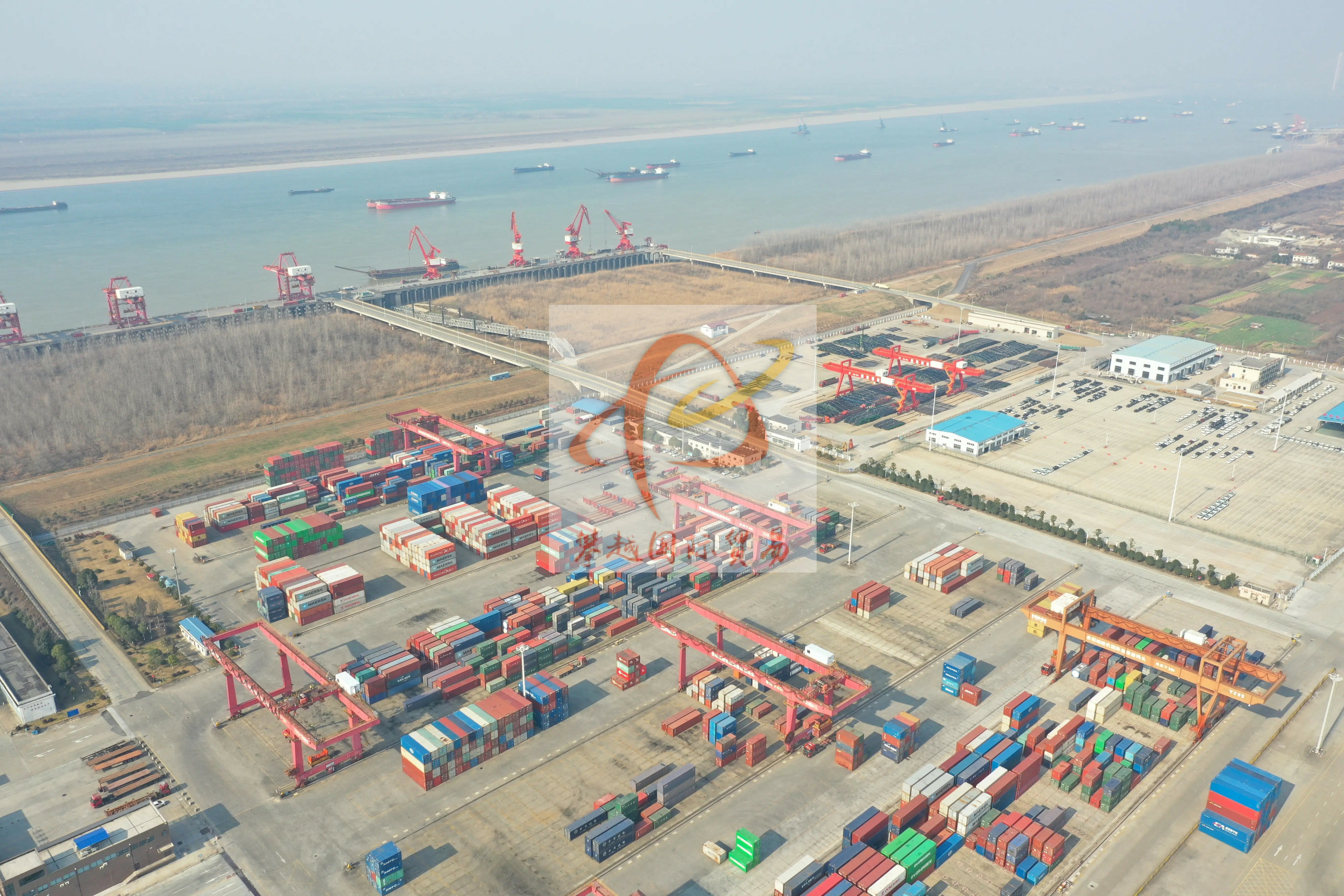 Export of edible vegetables to China_ Guangzhou Huangpu Port Customs Clearance Services