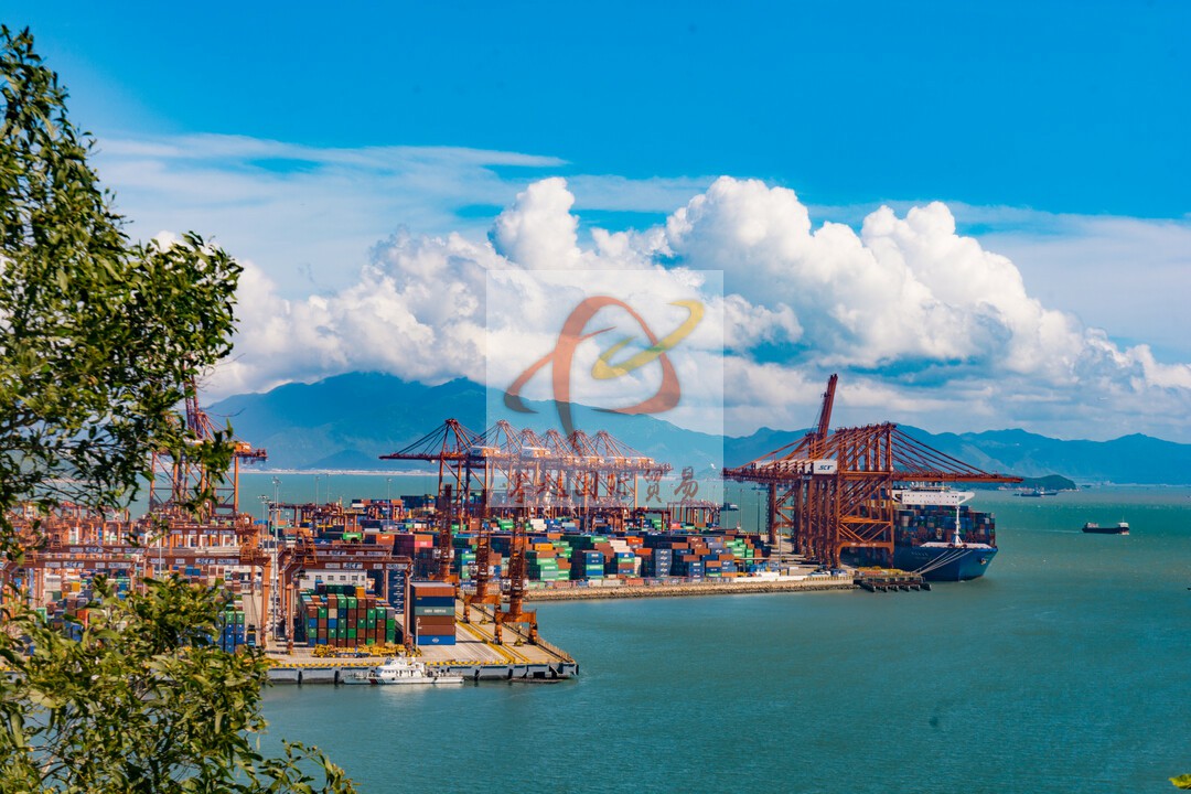 Importing fingerprint identification equipment from China_ Guangzhou Huangpu Port Customs Clearance Solution