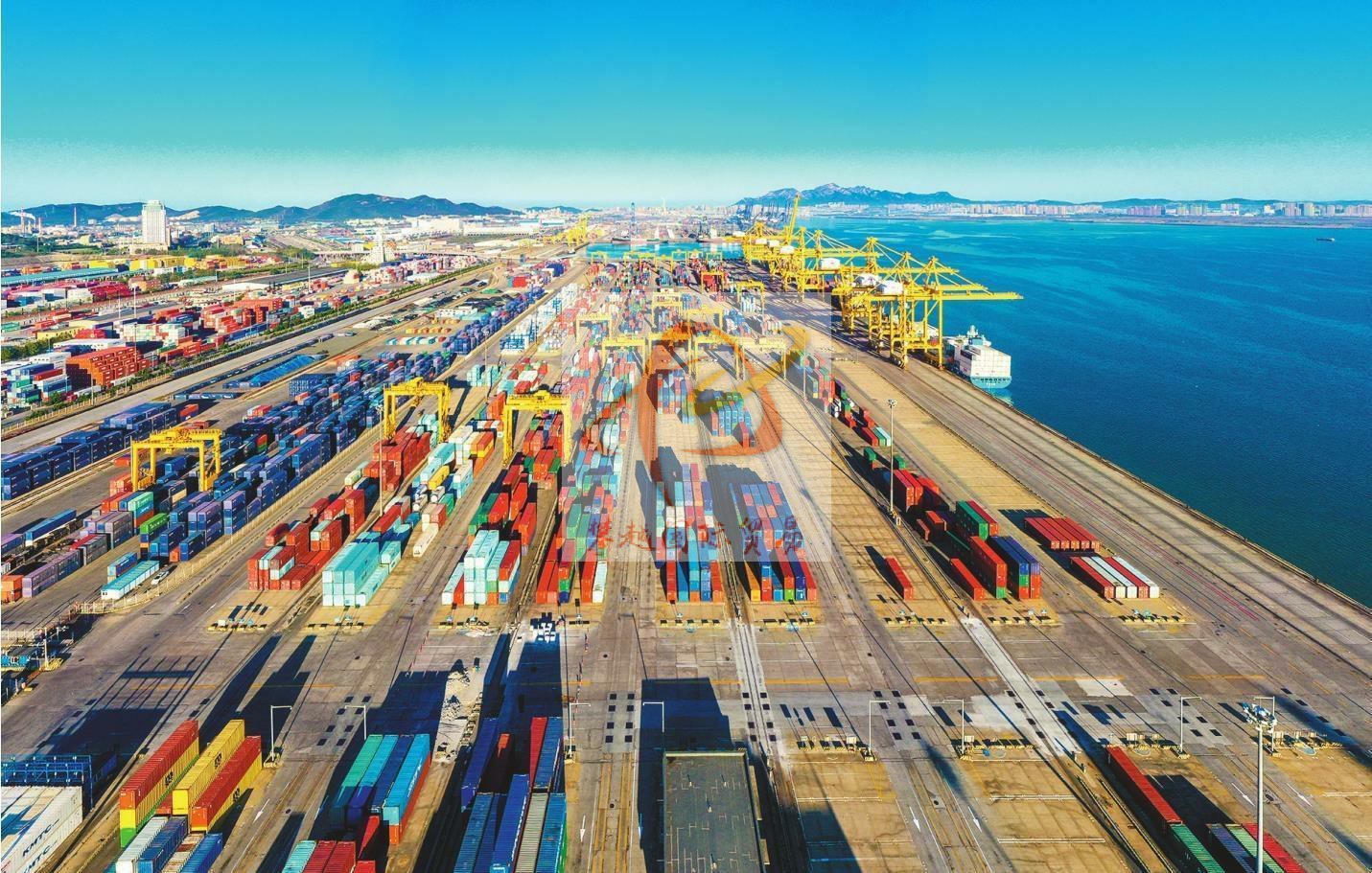 Trusted Goat Cheese Export to China_ Shenzhen Shekou Port Clearance Solutions