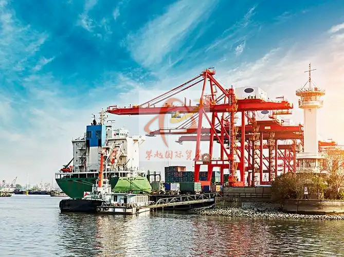 Seamless Indoor Cat Food Export to China from Japan_ Guangzhou Nansha Port Customs Clearance