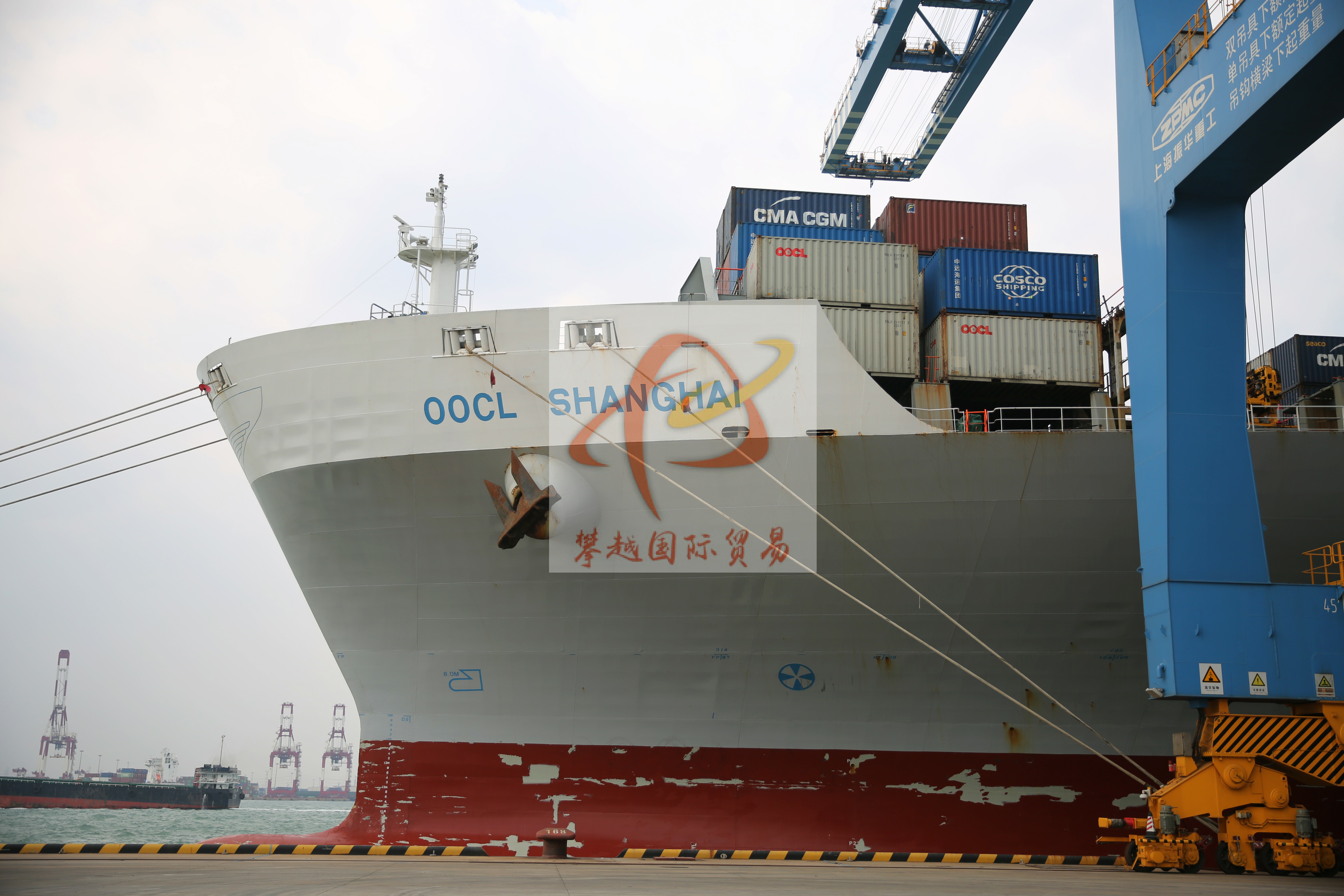 Trusted Dried Beef Export to China from Japan_ Guangzhou Nansha Port Customs Clearance