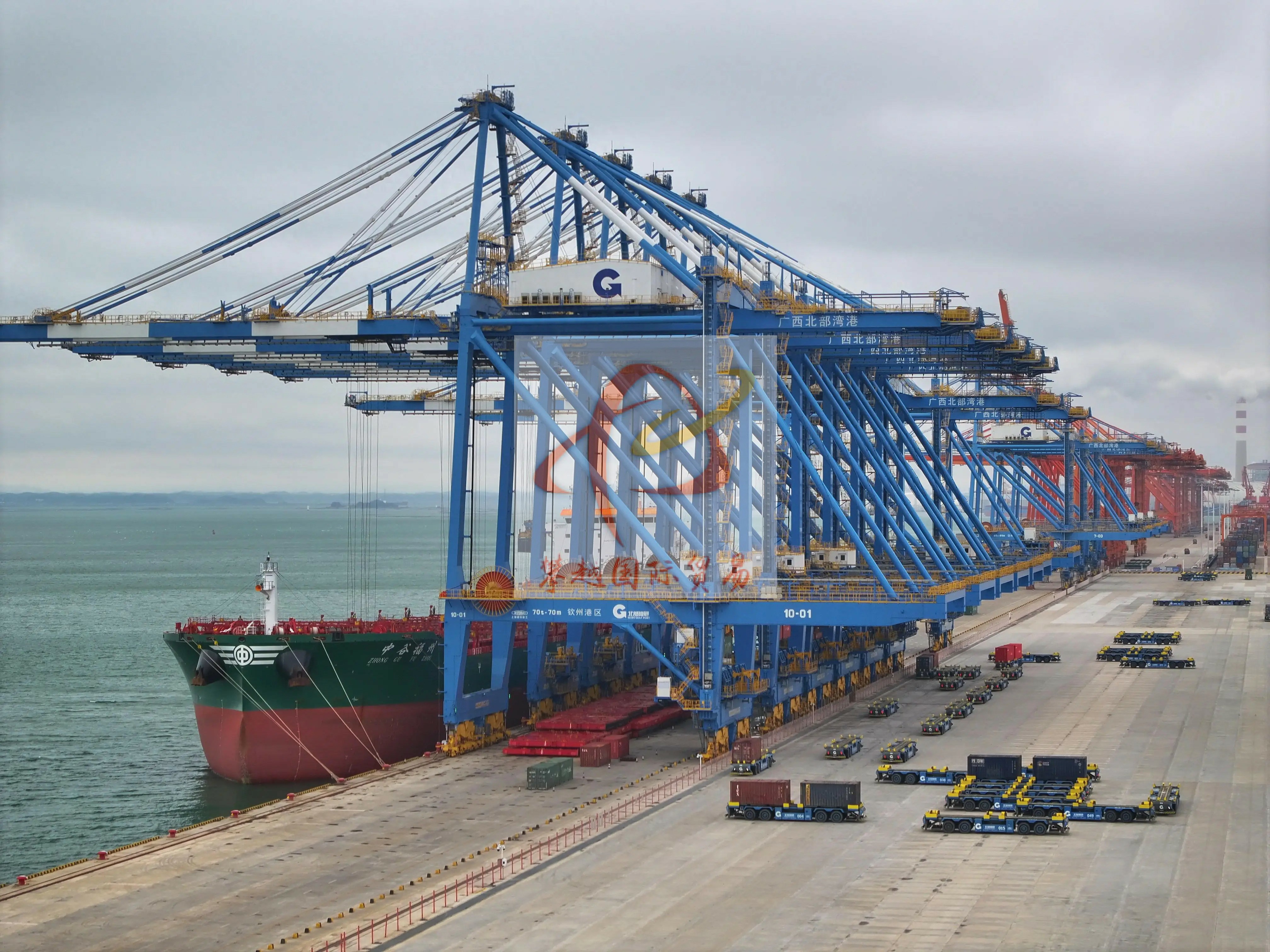 Trusted Export of Meat Pet Wet Pack to China_ Guangzhou Huangpu Port Customs Clearance Service