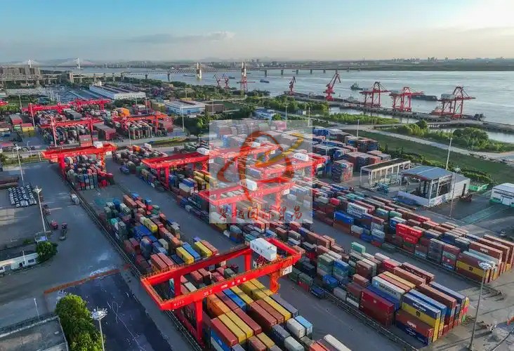 Importing paper products from China_ Guangzhou Nansha Port Customs Clearance Services