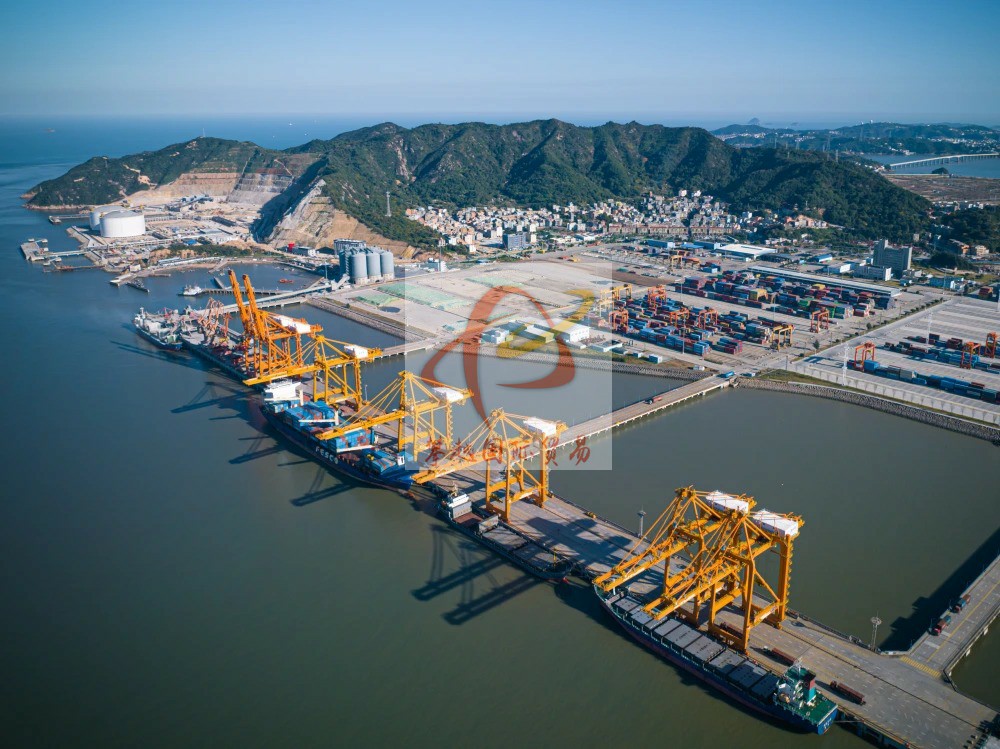 Hassle-Free Export of Senior Dog Food to China for Exporters_ Guangzhou Huangpu Port Customs Clearance Service
