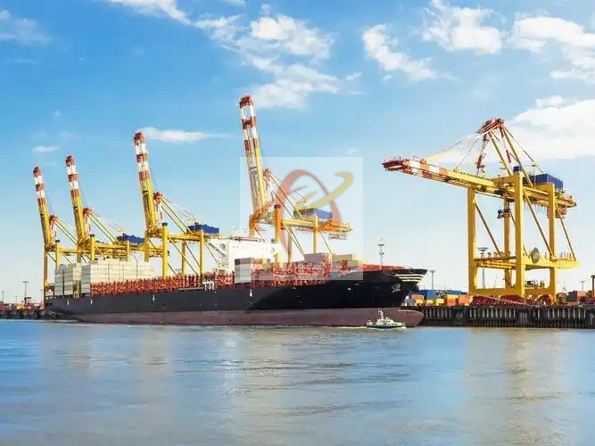 Imported skiing equipment from China_ Customs clearance at Huangpu Port, Guangzhou