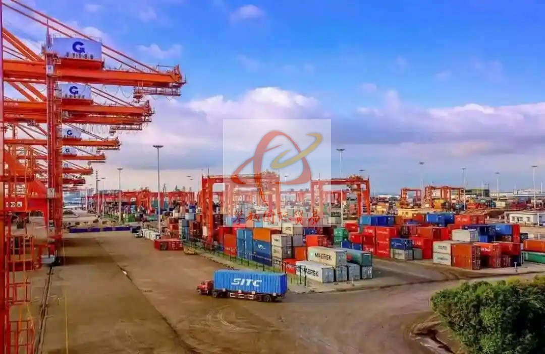 Professional Hydrating Essence Export to China_ Shenzhen Yantian Port Export Solutions