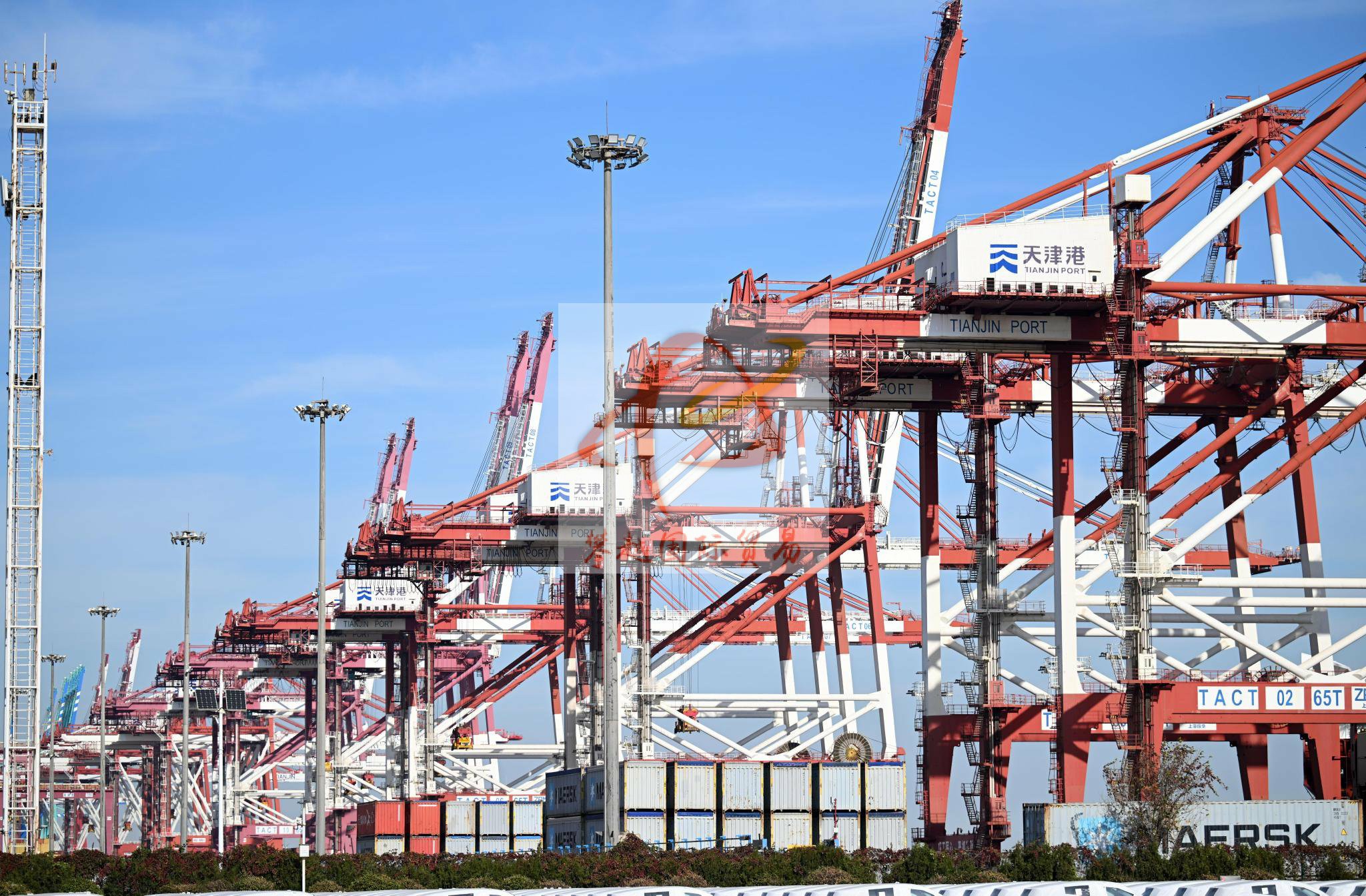 Hassle-Free Export of Protein Powder to China from Australia_ Guangzhou Huangpu Port Customs Clearance Service