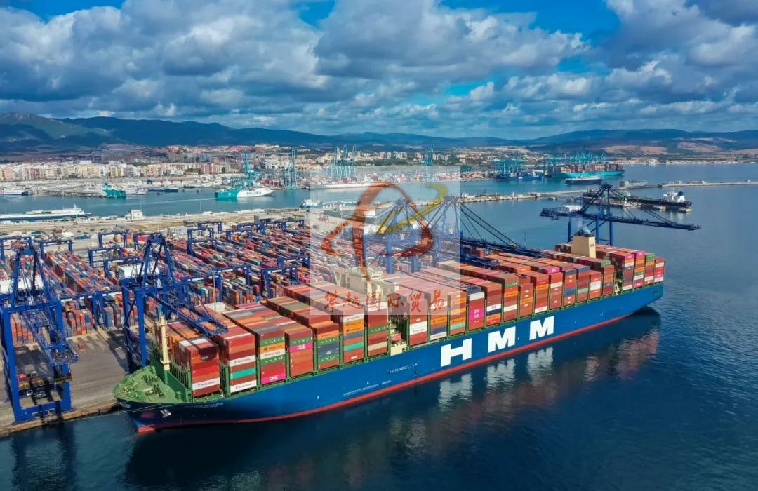 Efficient Export of Optometry Equipment to China_ Shenzhen Shekou Port Customs Clearance