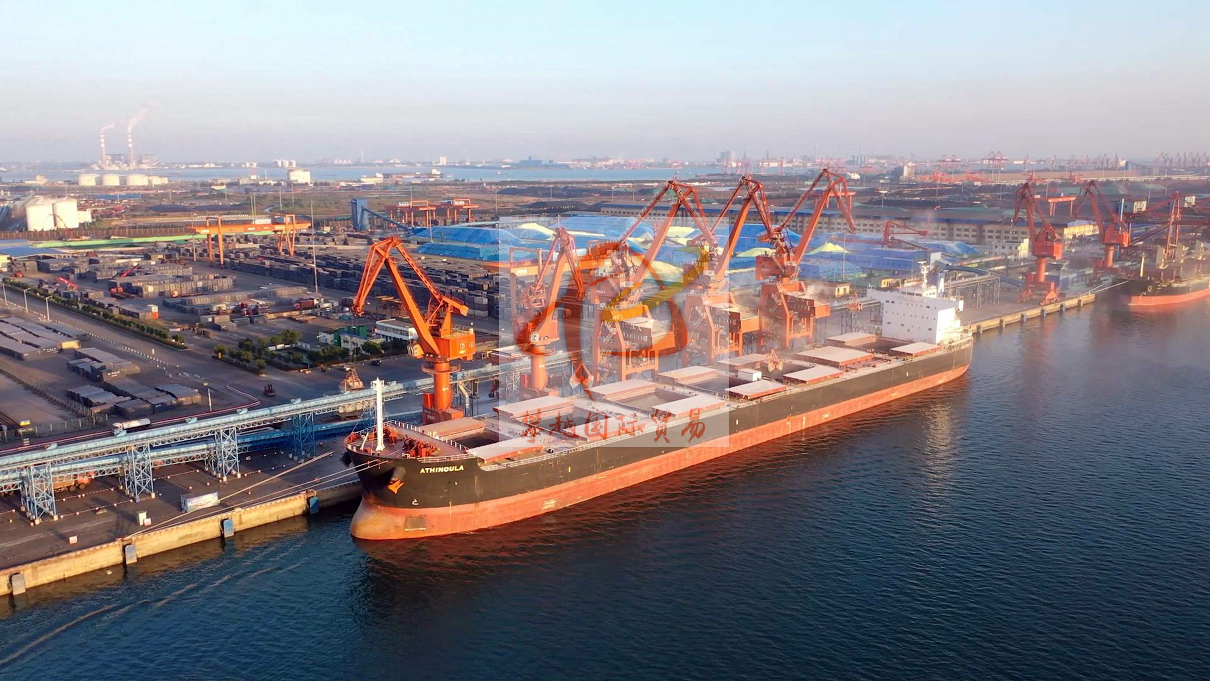 Trusted Export of Collagen Powder to China from Japan_ Guangzhou Huangpu Port Customs Clearance Service