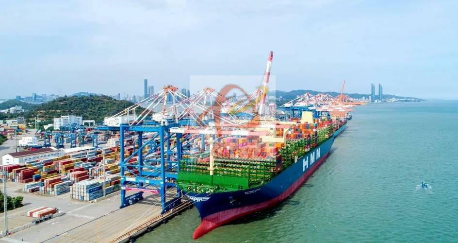 Trusted Export of Anti-Allergy Cream to China from Thailand_ Guangzhou Huangpu Port Customs Clearance Service