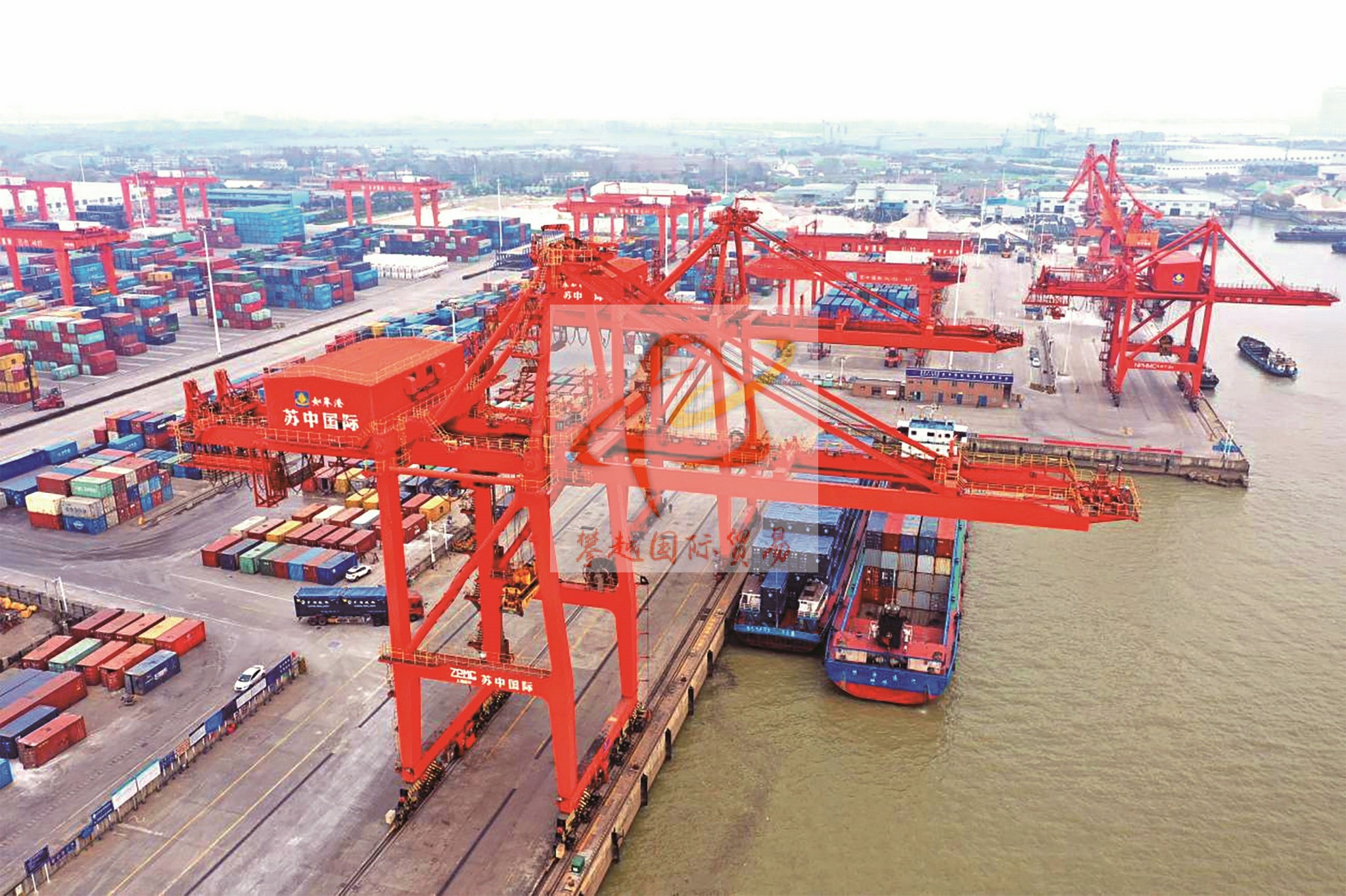 Professional Export of Squalane Oil to China_ Shenzhen Yantian Port Customs Clearance