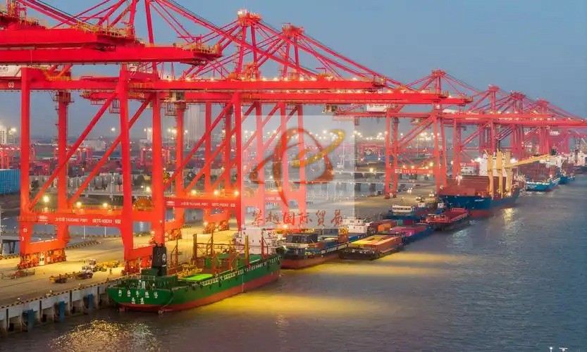 Export of edible nuts to China_ Shenzhen Shekou Port Customs Clearance Services