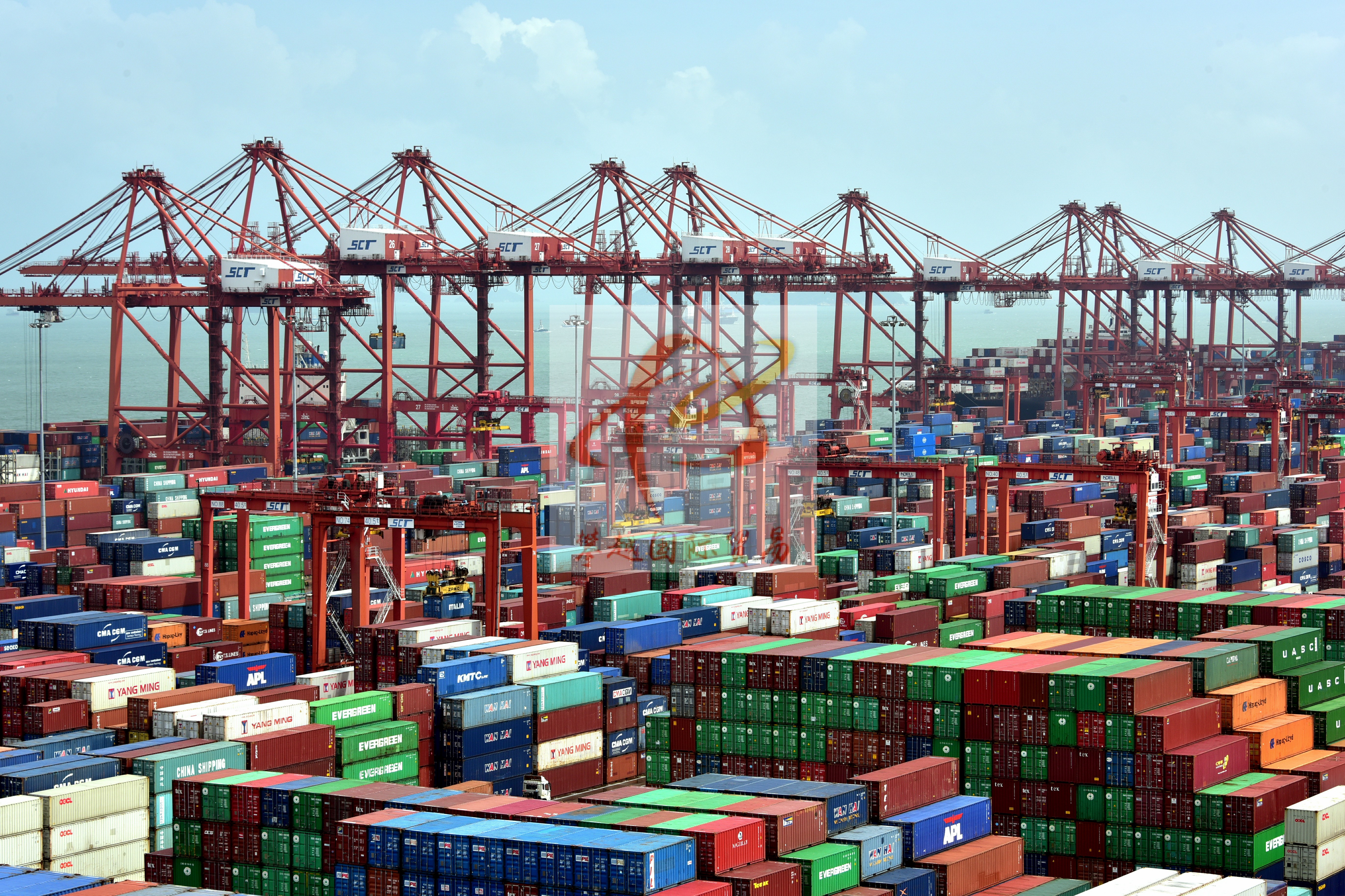 Streamlined Pet Molar Snacks Export to China_ Shenzhen Yantian Port Export Solutions