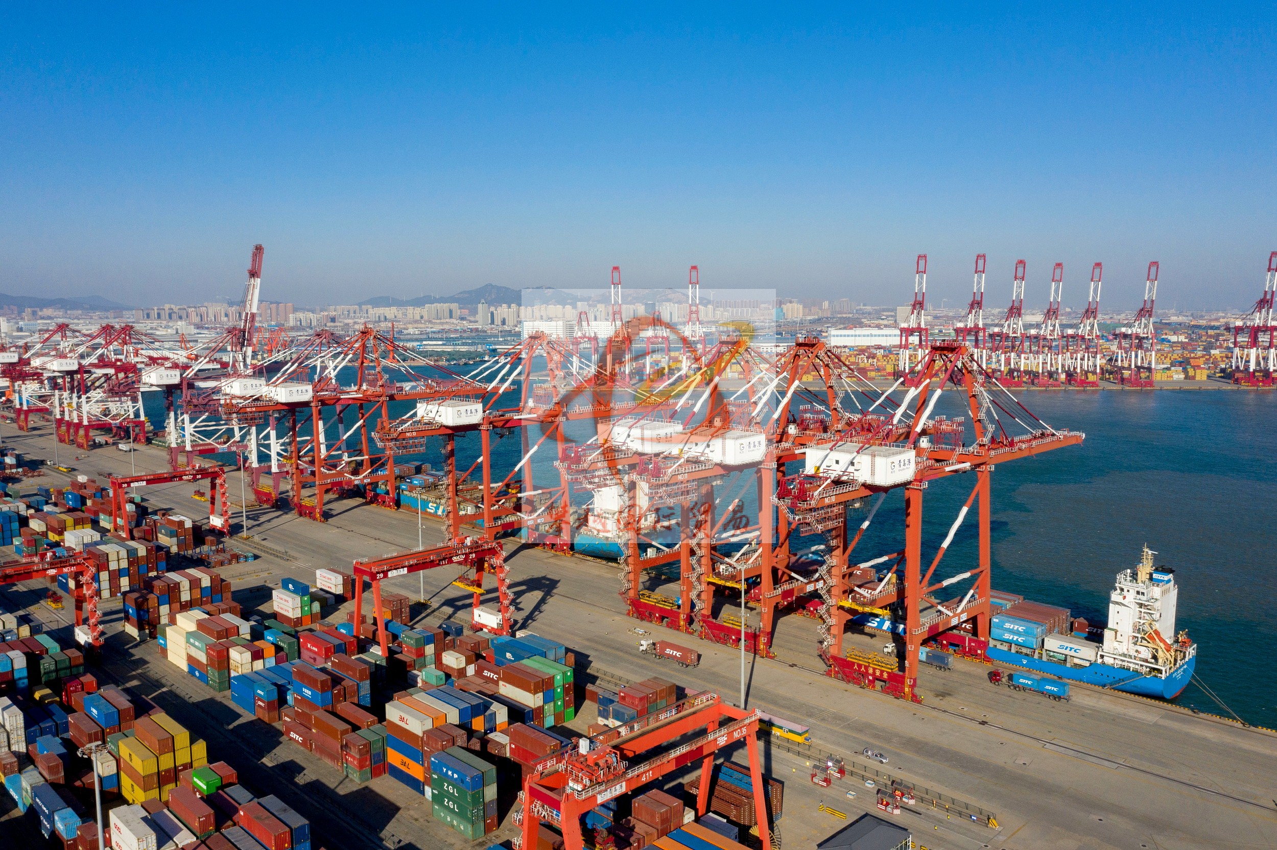 Food and beverage exports to China_ customs clearance at Nansha Port, Guangzhou