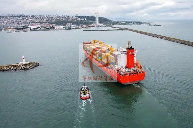 Rapeseed Oil Import Freight from China