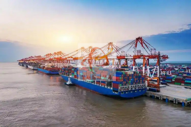 China Import Yogurt Clearance