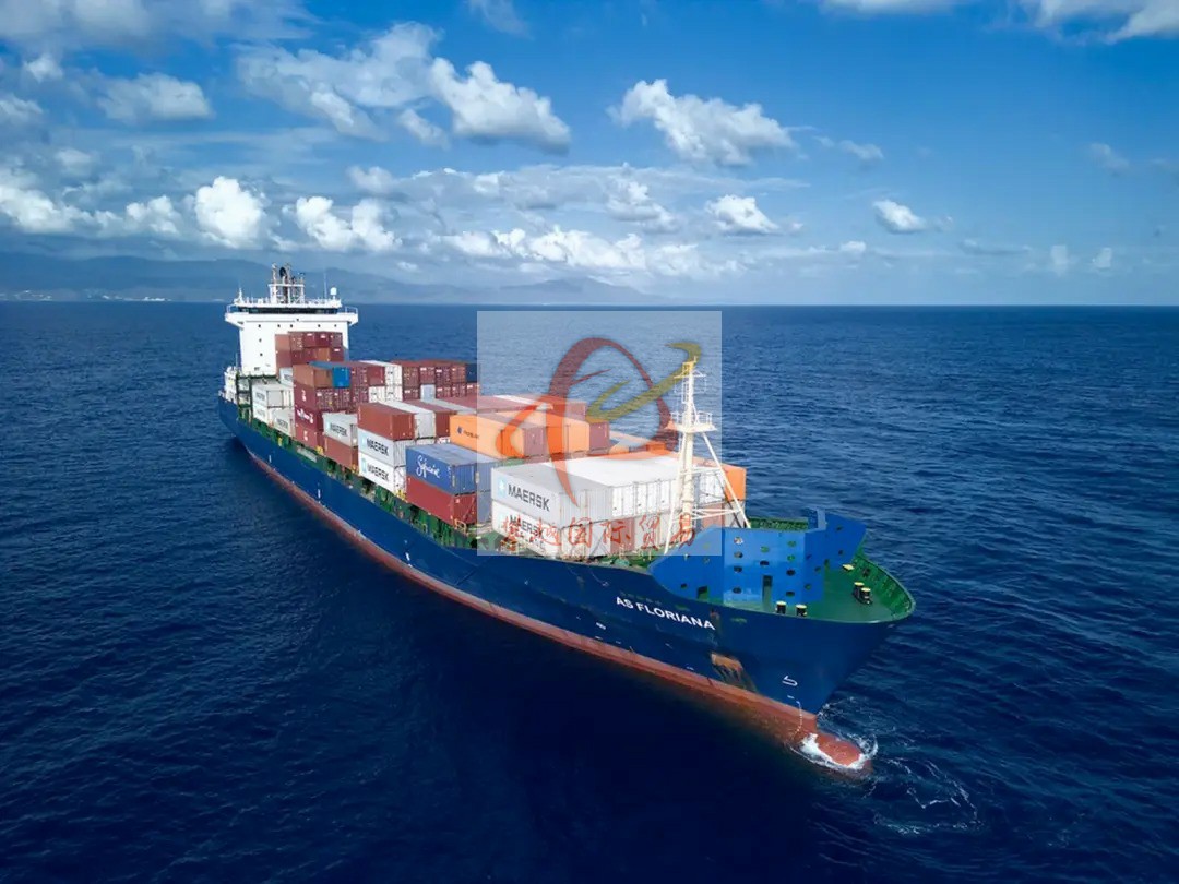 Frozen Seafood and Products Import Clearance for China